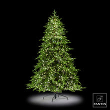 Carica l'immagine nel visualizzatore di Gallery, ALBERO DI NATALE PINO LUXURY 3000 LED CM. 180H x140