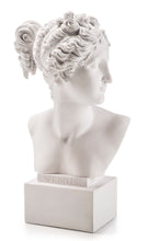 Carica l'immagine nel visualizzatore di Gallery, BUSTO IN RESINA VENERE CM.35