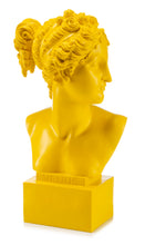 Carica l'immagine nel visualizzatore di Gallery, BUSTO IN RESINA VENERE CM.35