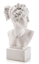 Carica l'immagine nel visualizzatore di Gallery, BUSTO IN RESINA " VENERE " CM.50