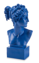Carica l'immagine nel visualizzatore di Gallery, BUSTO IN RESINA VENERE CM.35