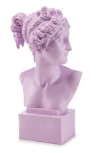 Carica l'immagine nel visualizzatore di Gallery, BUSTO IN RESINA VENERE CM.35