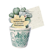 Carica l'immagine nel visualizzatore di Gallery, CACHEPOT DECORATO CON CARTA PIANTABILE CM. 7,5 X 7 H ( VARI DECORI)