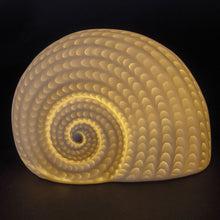 Carica l&#39;immagine nel visualizzatore di Gallery, CONCHIGLIA LED DECORATIVA IN PORCELLANA &quot; OCEAN&quot; CM. 18,2 x p. 10,7 x  12,2 H
