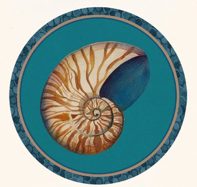 TOVAGLIETTA RIGIDA IN POLICARBONATO CM. 39